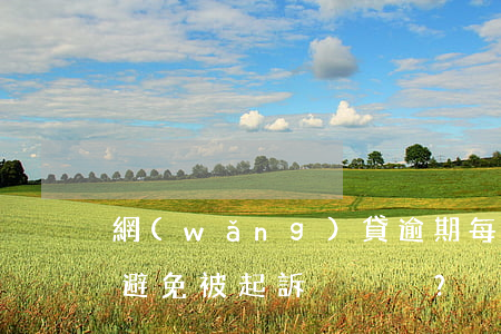 網(wǎng)貸逾期每月還1000能否避免被起訴？